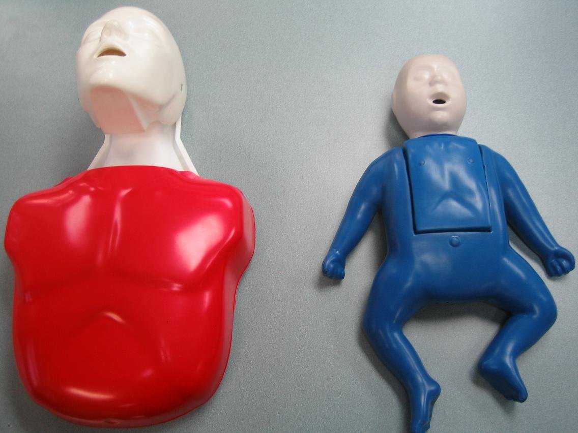 Child and Infant Manikin for CPR Training